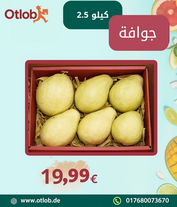 Egyptian Guava 2.5 Kilo Box (shipping date 03.09.2025)