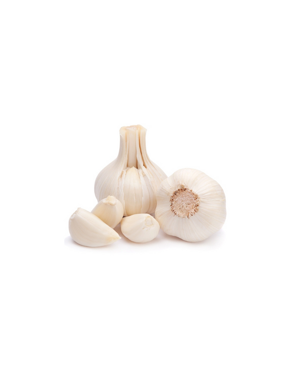 Knoblauchpackung 6 Stück