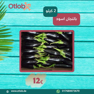 Egyptian Black Eggplant 2Kg Box (shipping date 15.07.2025)