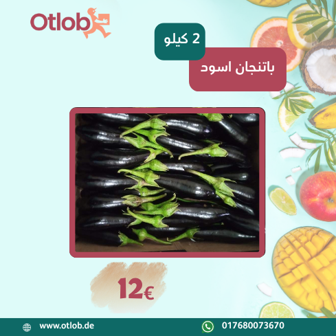 Ägyptische Schwarze Aubergine 2Kg Box (Versanddatum 29.07.2025)