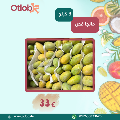 Ägyptische Mango Fas 3Kg Box (Versanddatum 29.07.2025)