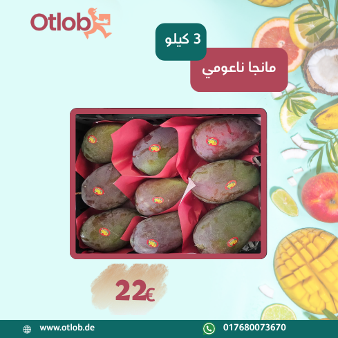 Ägyptische Mango Naomi 3Kg Box (Versanddatum 29.07.2025)