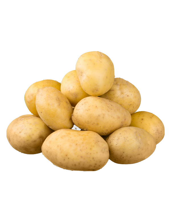 Kartoffel 5Kg