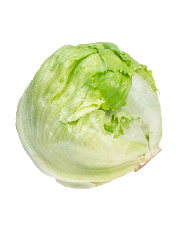 Eisbergsalat 1 Stück