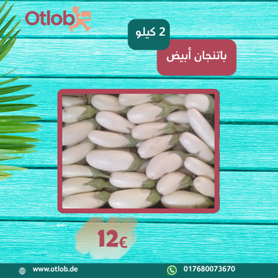 Egyptian White Eggplant 2Kg Box (shipping date 15.07.2025)